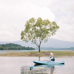 Paddle